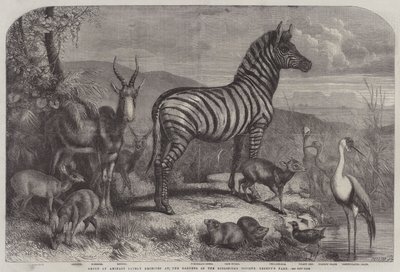 Group of Animals Lately Received at the Gardens of the Zoological Society, Regent
